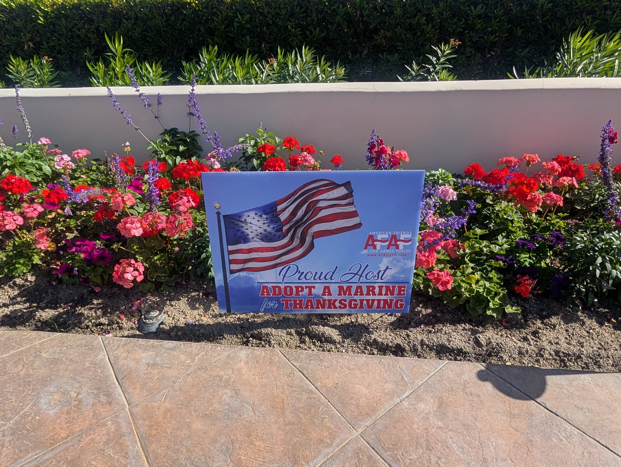 PXL_20251127_184838274